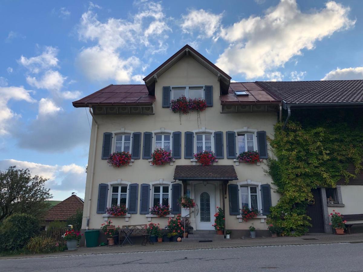 Ferienwohnung Haus Sutter Schopfheim Zewnętrze zdjęcie